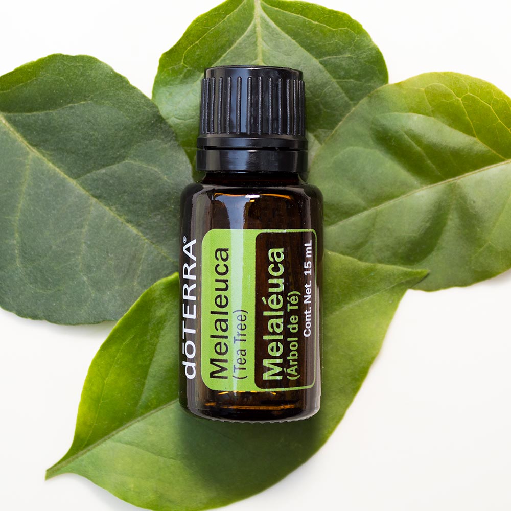 doTERRA: Aceite esencial- Árbol de Te